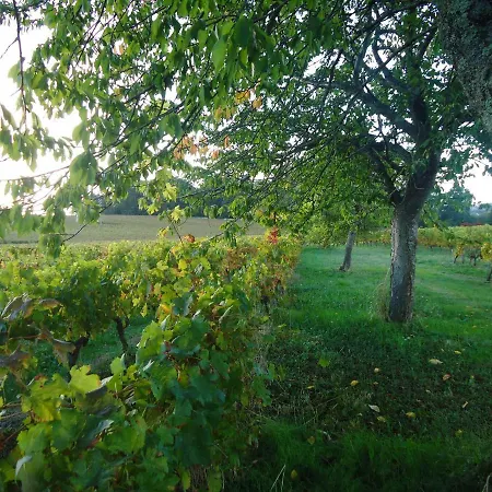 Bed & Breakfast D'hotes Maranje Saint-Germain-du-Puch