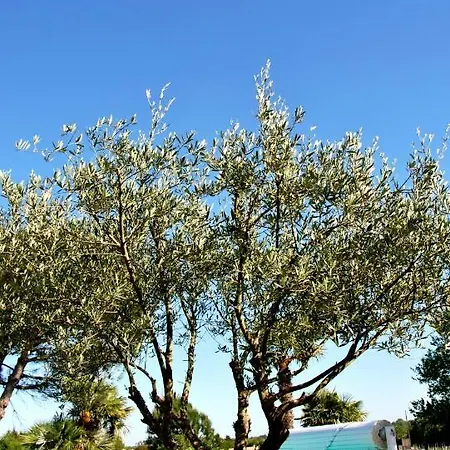 Bed & Breakfast D'hotes Maranje