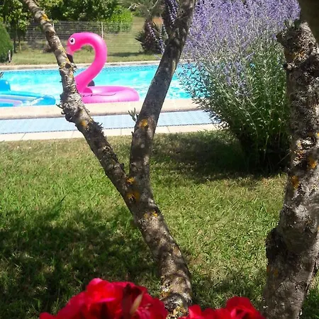 D'hotes Maranje Bed & Breakfast *